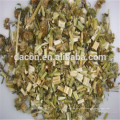 Motherwort extract powder